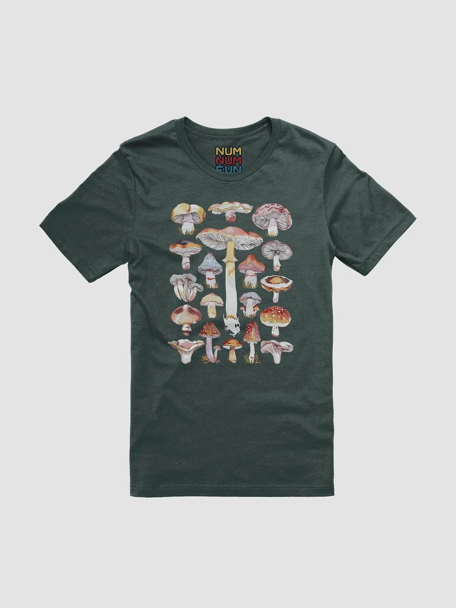 Mushrooms product image (1)