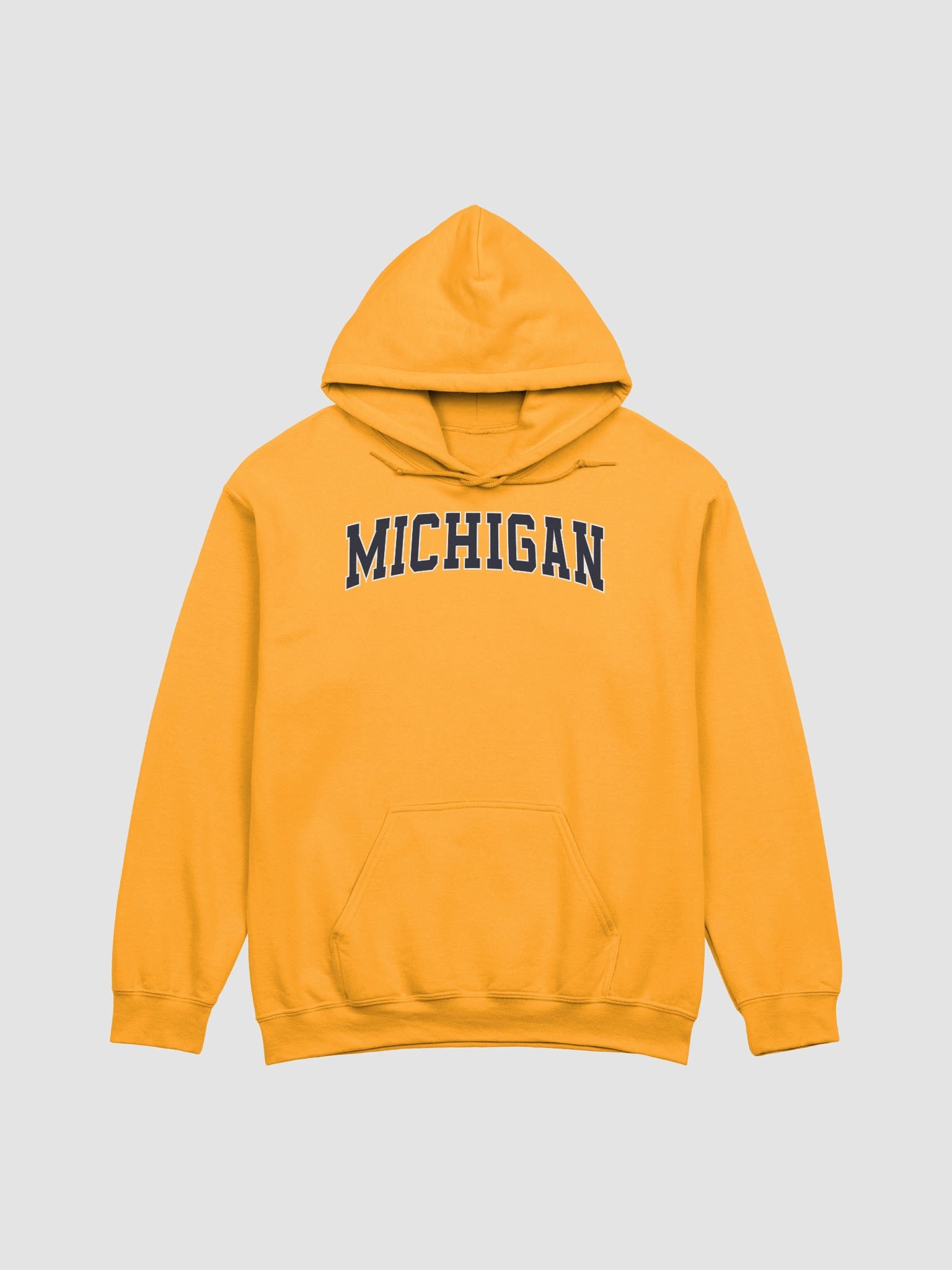 Michigan Vintage Varsity Embroidered Classic Hoodie product image (1)