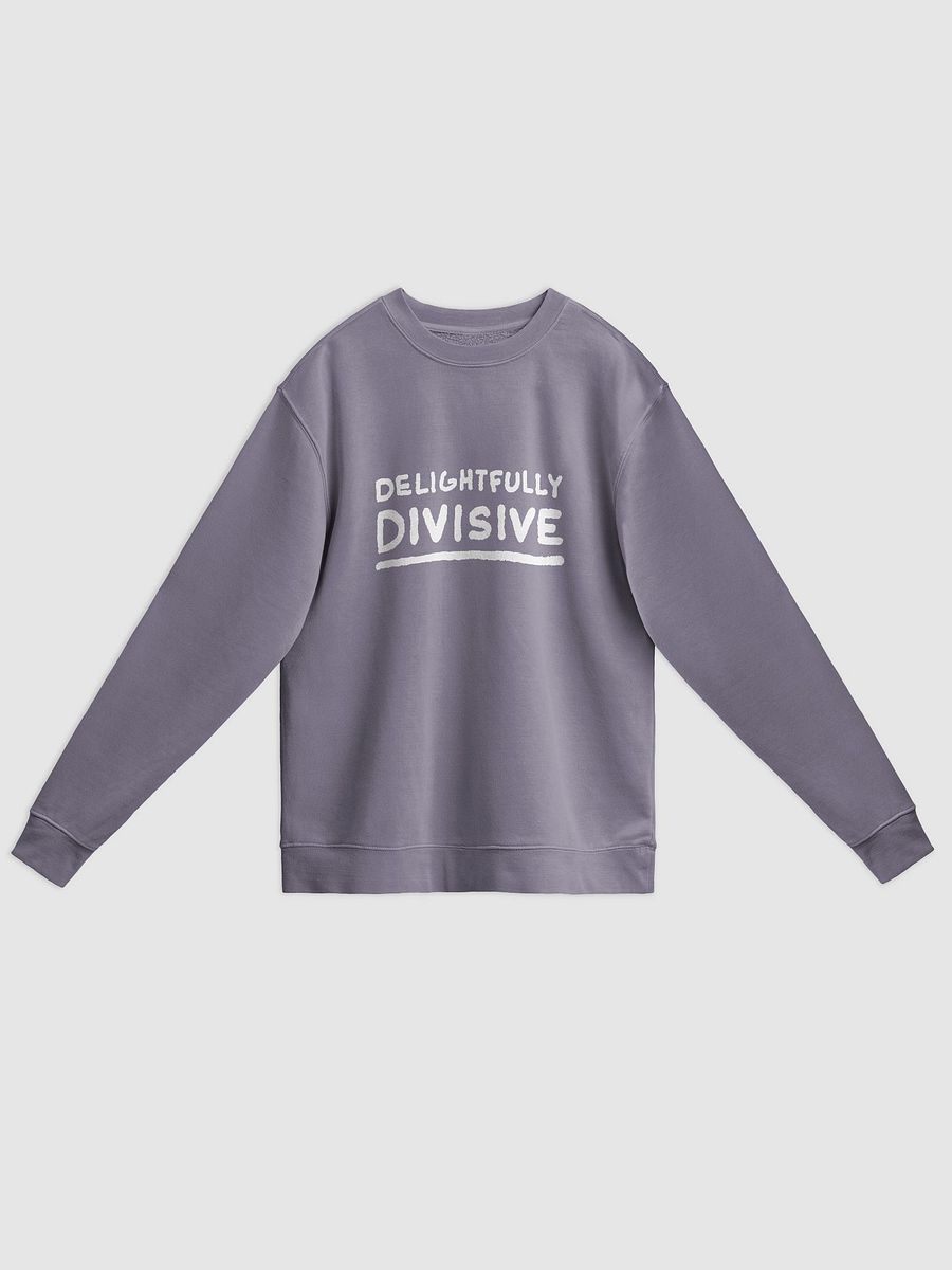 DELIGHTFULLY DIVISIVE (lg. white design) printed pigment crewneck product image (19)