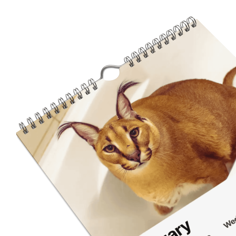 FLOPPA CALENDAR FOR 2024 product image (10)