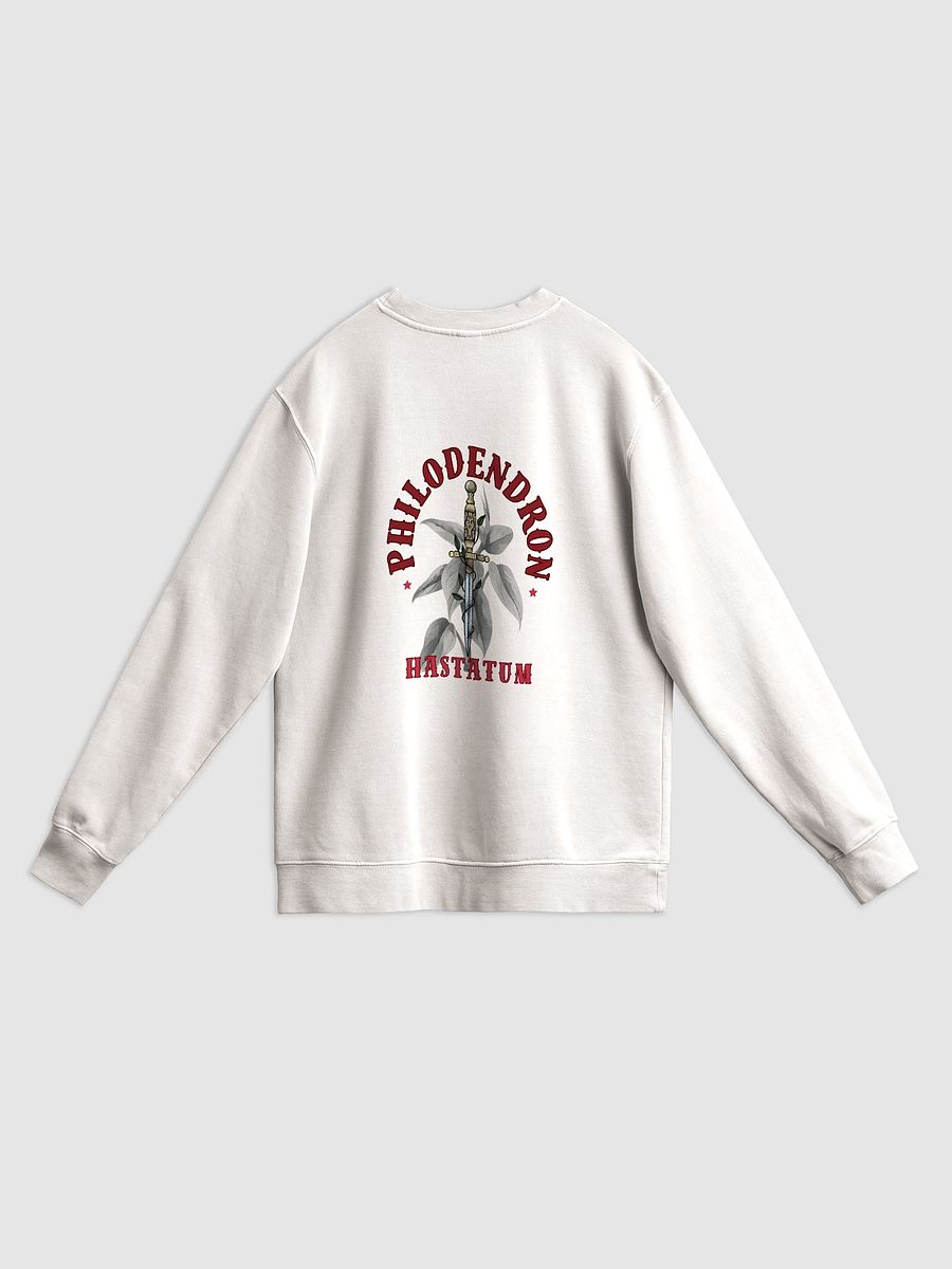 Silver Sword Sweatshirt product image (2)