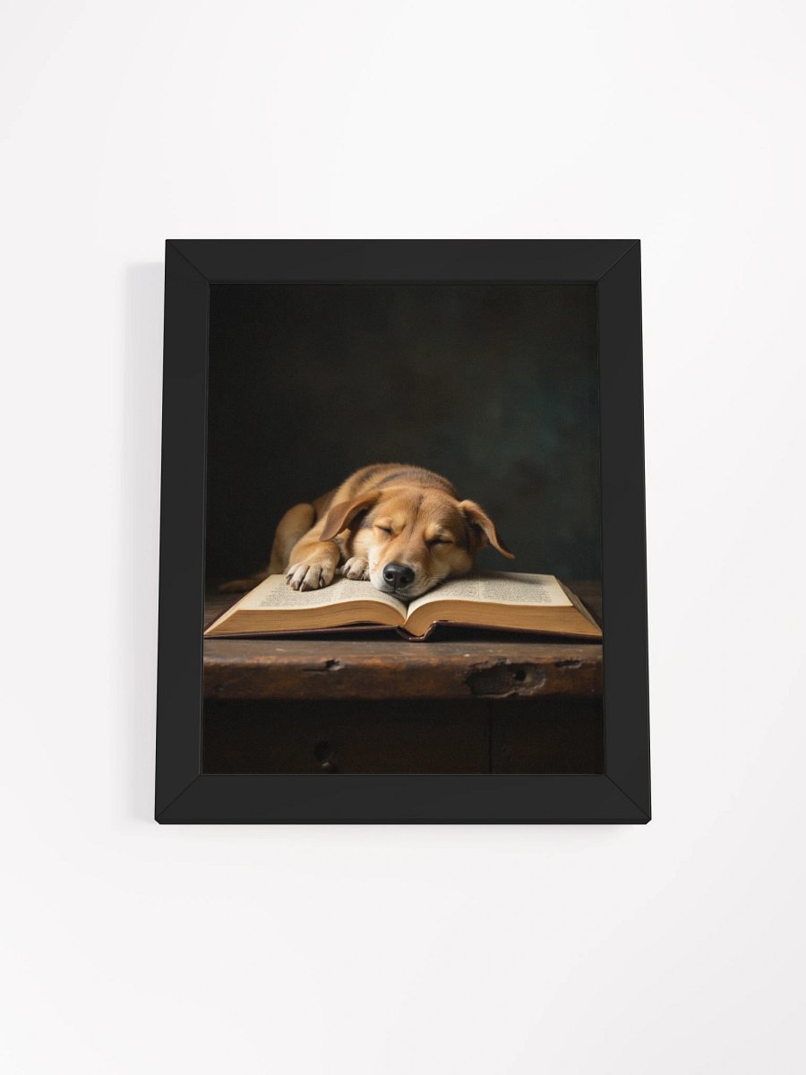 Sleeping Potcake Framed Picture product image (7)