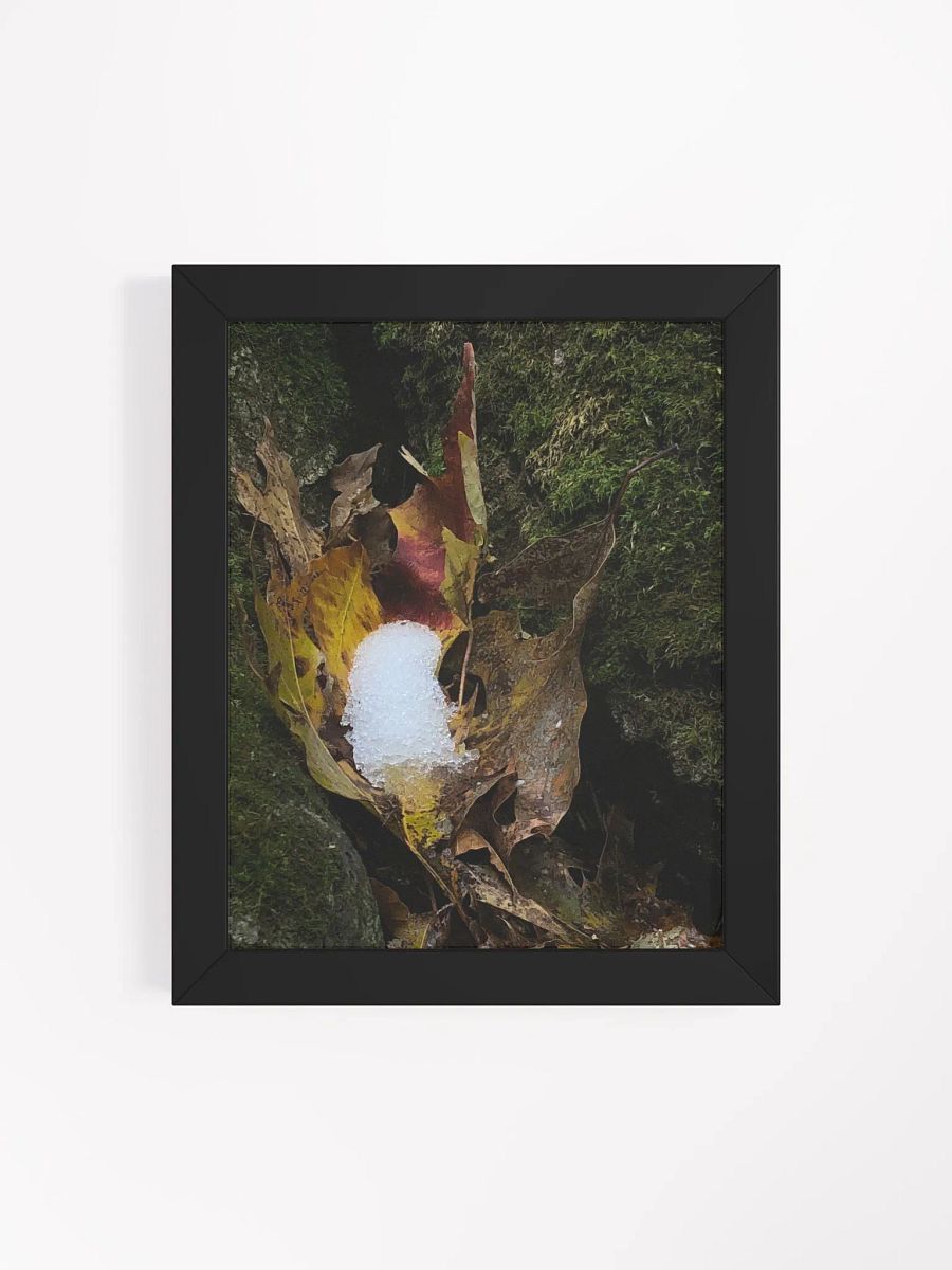 Snow in the Leaf High Quality Matte Poster product image (4)