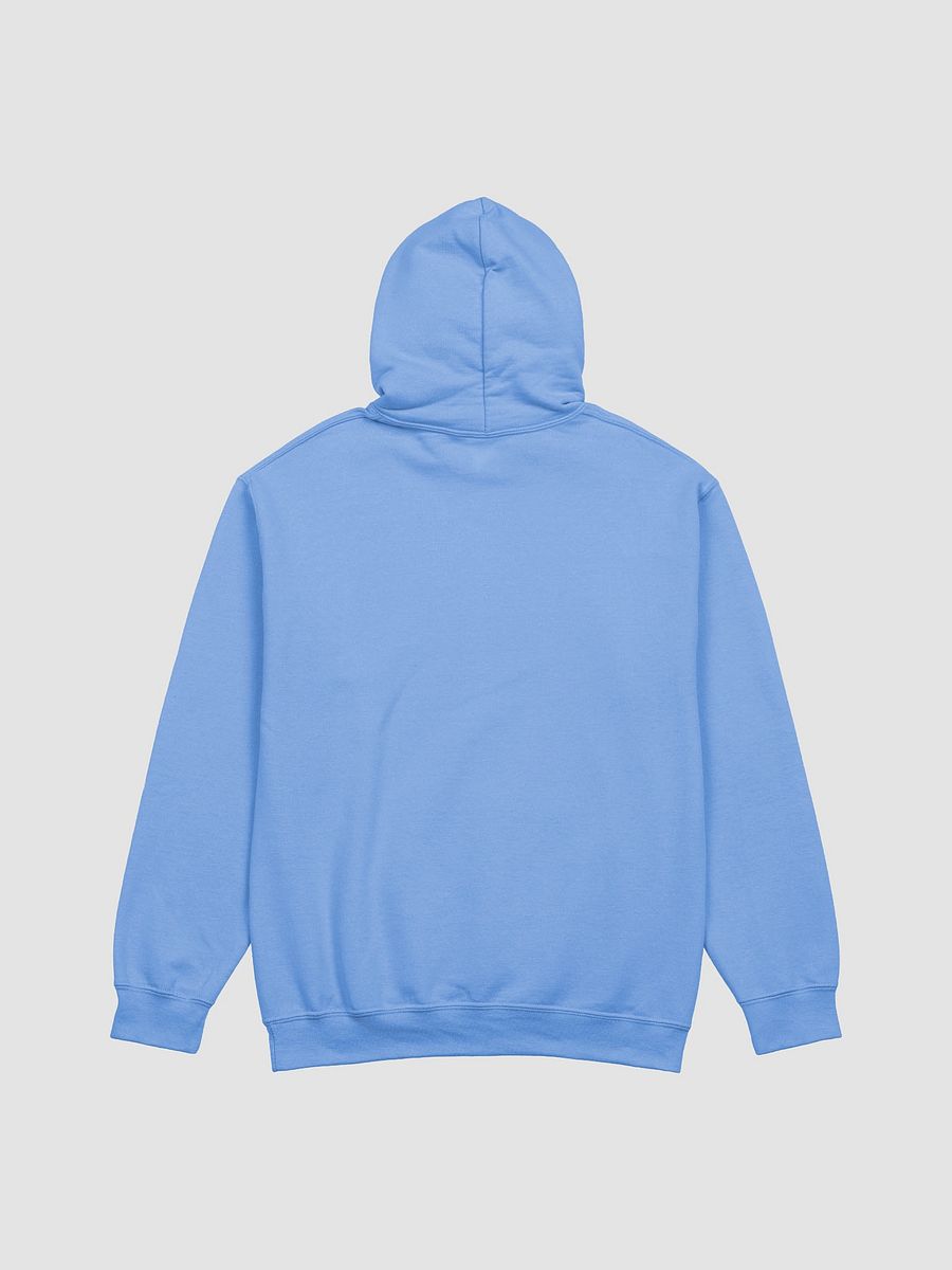 Shoulda Beens Horny Hoodie product image (2)