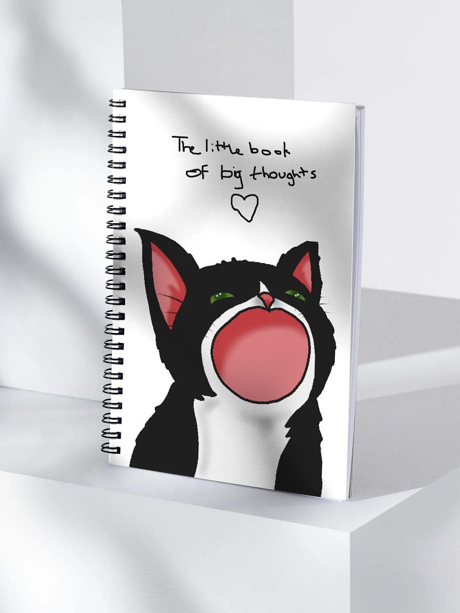 The Little Book of Big Thoughts! product image (2)