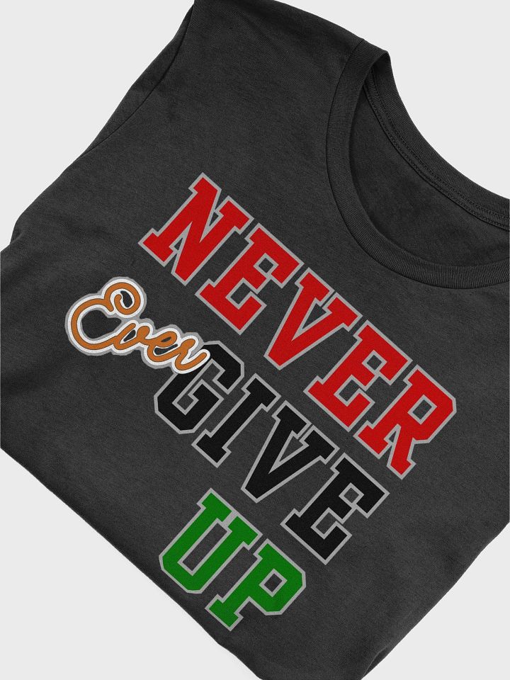 Never Ever Give Up product image (2)