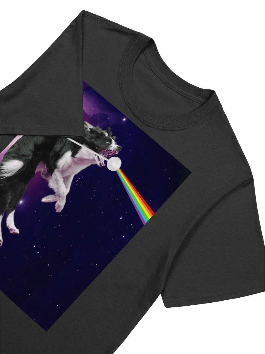 Border Collie Leaps Into The Best Album Cover Of All Time Classic Rock 'n' Roll T-shirt product image (3)