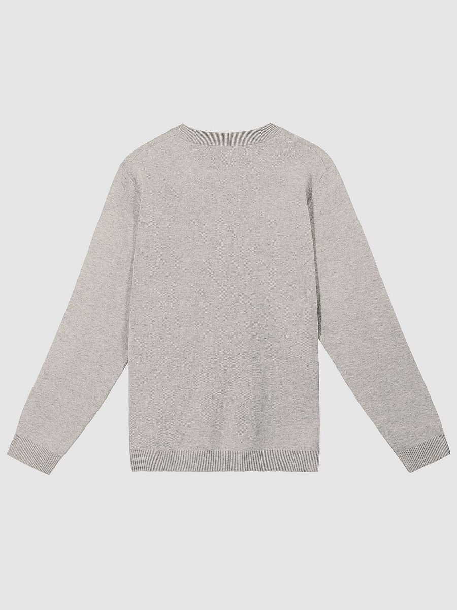 PLEASE DON'T MAKE ME TALK (maroon + sand) knitwear classic crewneck product image (9)