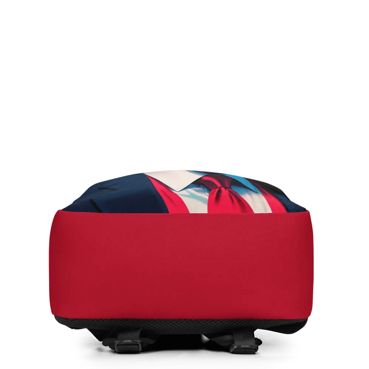 Blue and Red Back Pack product image (2)