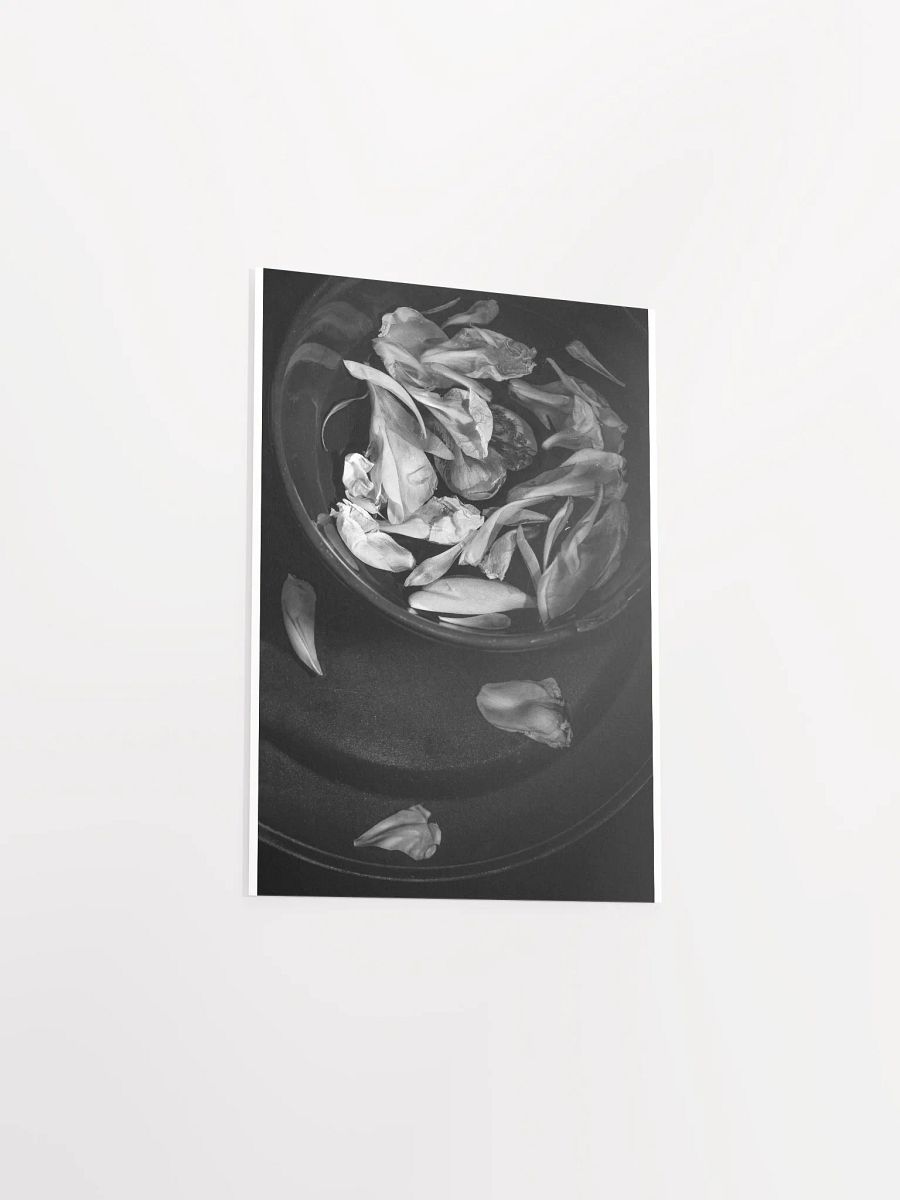 Floating Petals - Print product image (4)