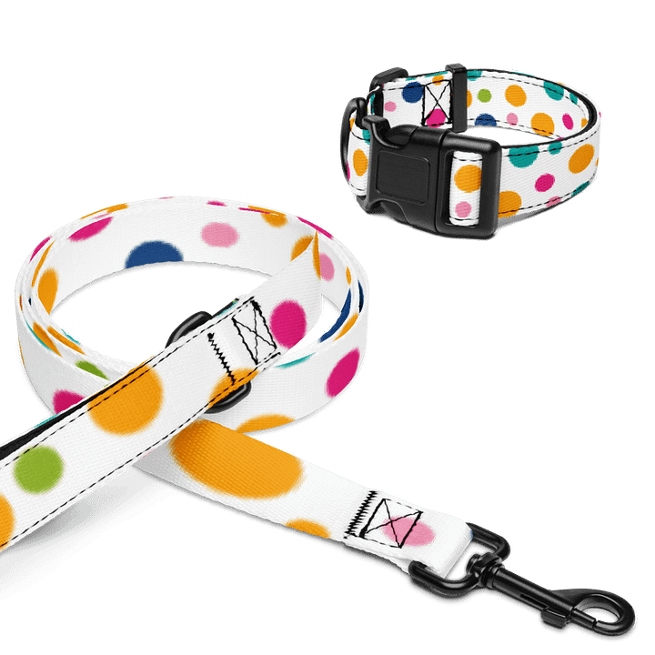Harmony Hues Pet Collar & Leash Set product image (1)