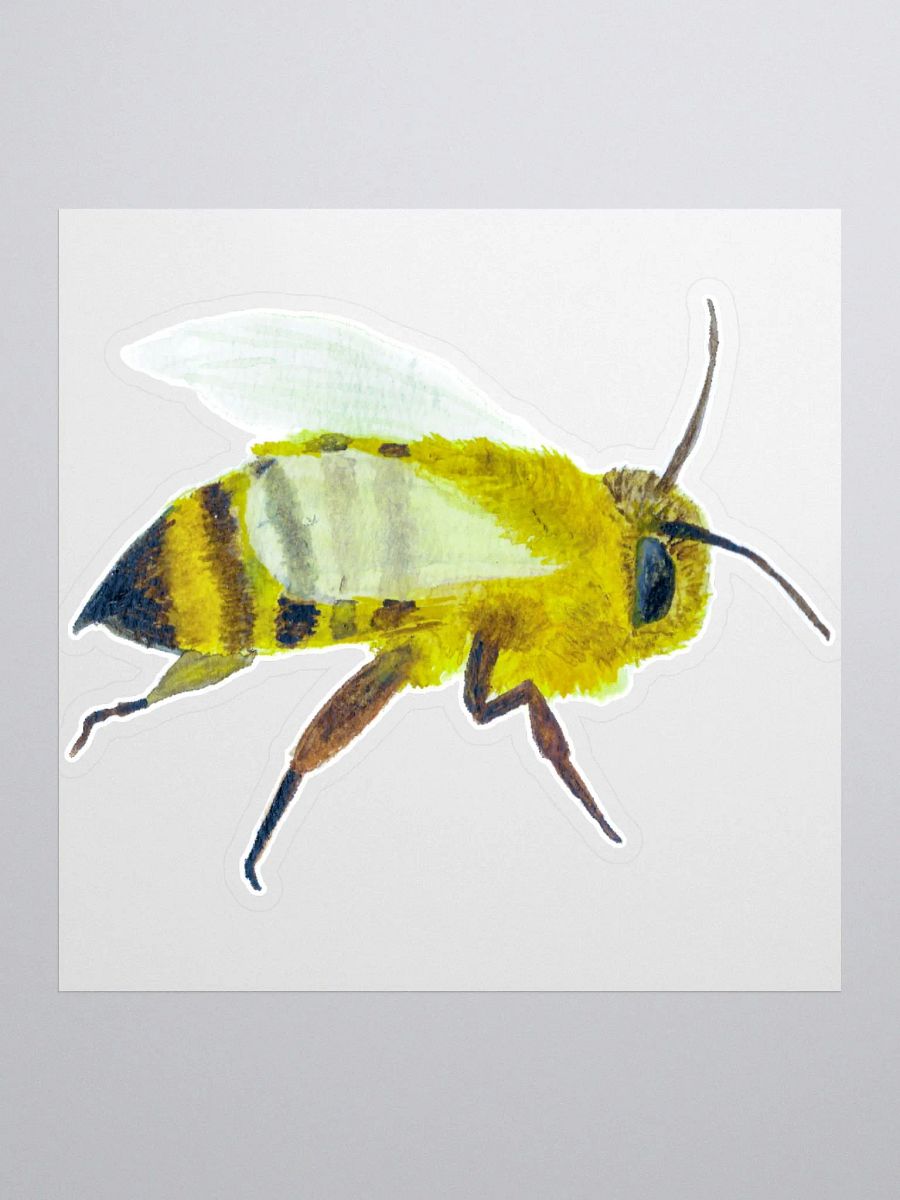 Big Bee product image (1)