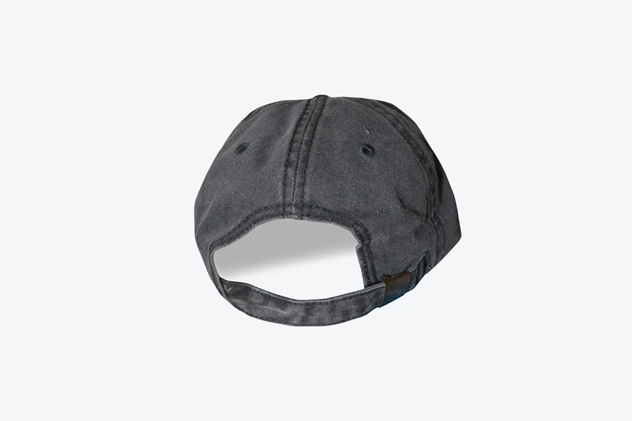 OG Logo Hat - Black product image (3)