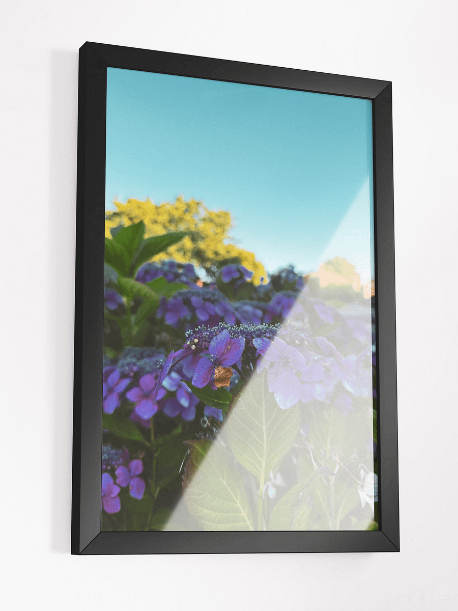 Vibrant Serenity product image (3)