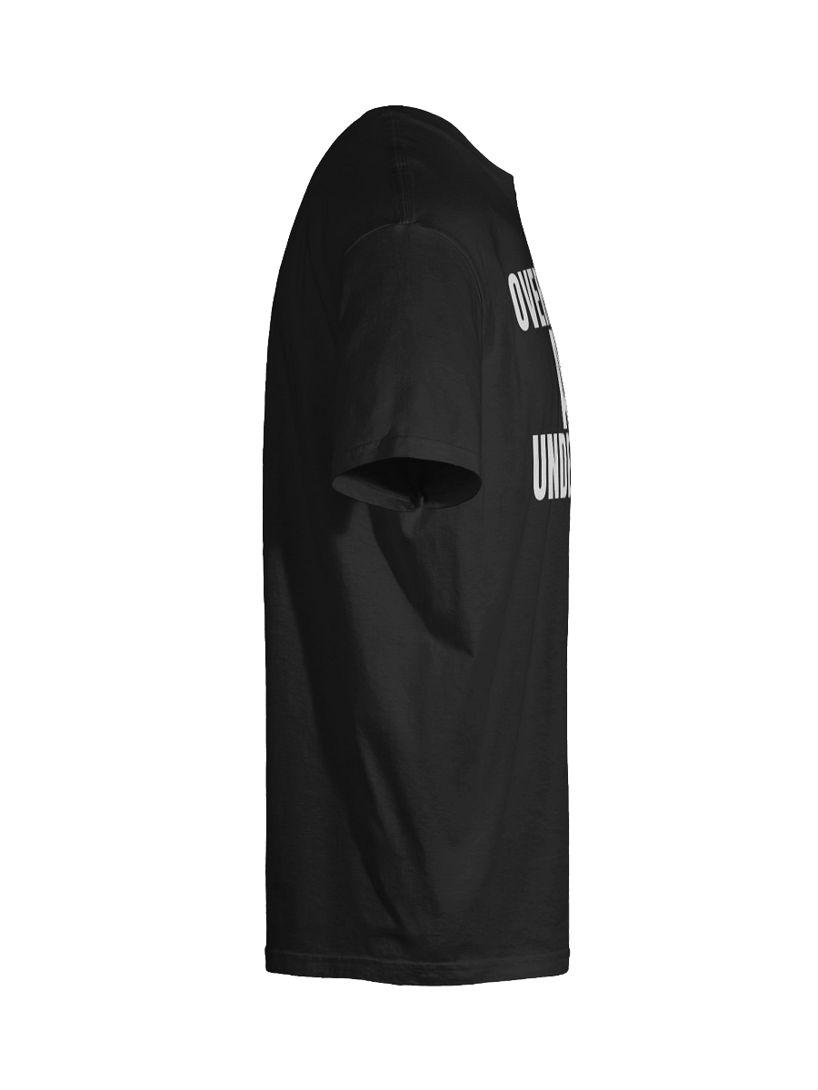 Overworked and underfucked T-Shirt product image (10)