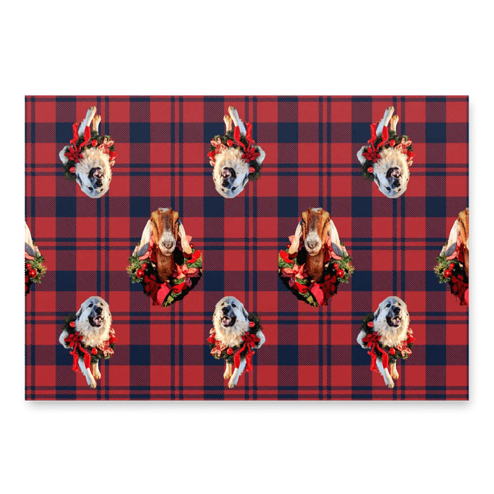 Wrap it up product image (2)