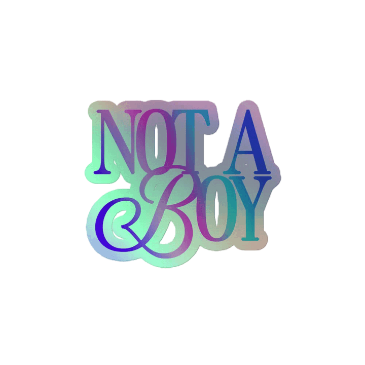Not A Boy - Holo Sticker product image (2)