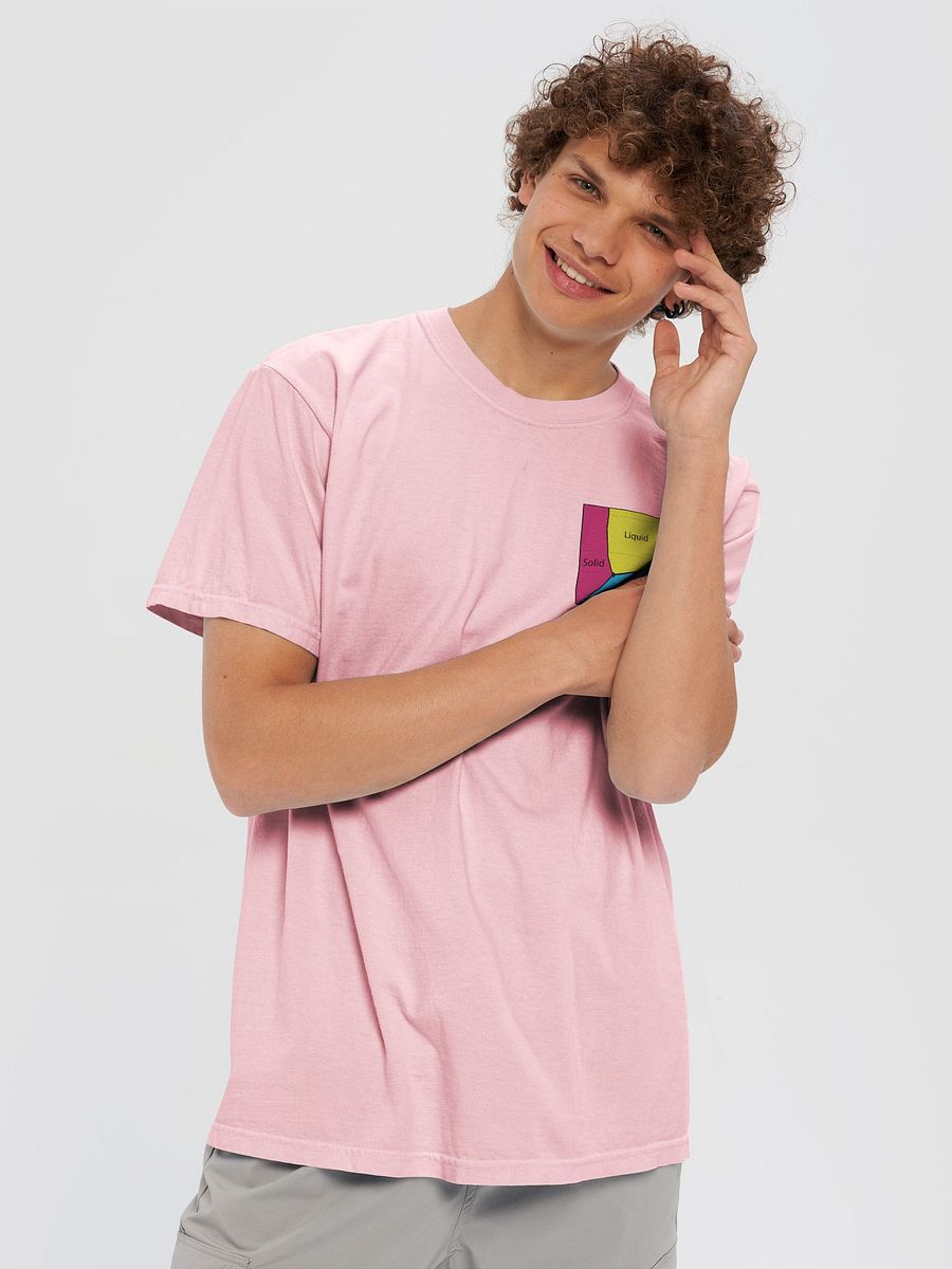 It's Not Just a Phase- Pan T Shirt product image (67)