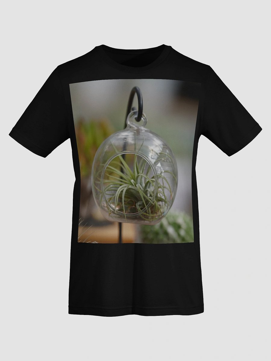 Suspended Air Plant Terrarium product image (7)
