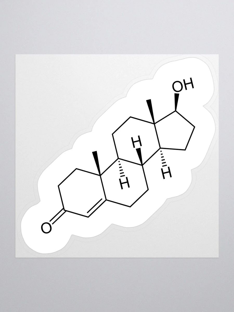 HRT // TESTOSTERONE II product image (1)