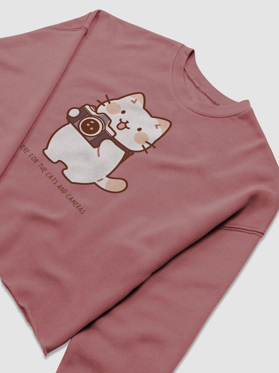 Cats and Cameras Cropped Sweatshirt product image (13)