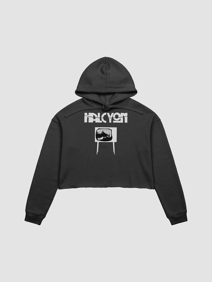 HALCYON Cropped Hoodie product image (1)