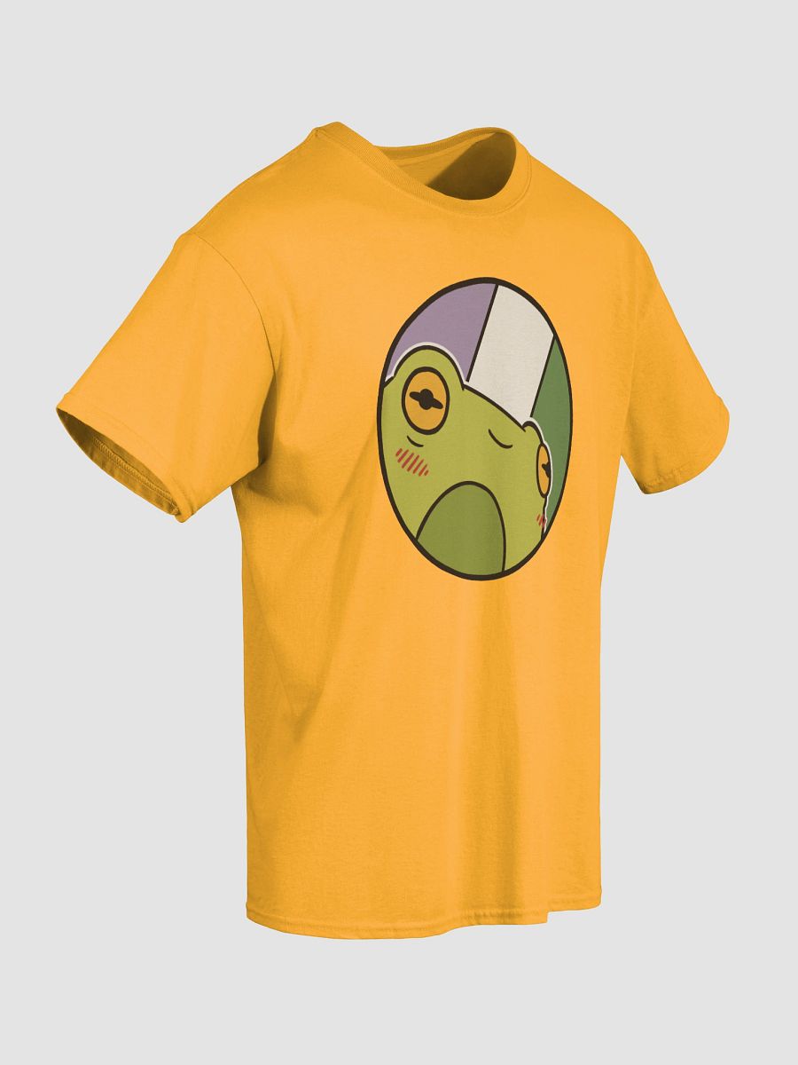 t-shirt : froge genderqueer product image (3)