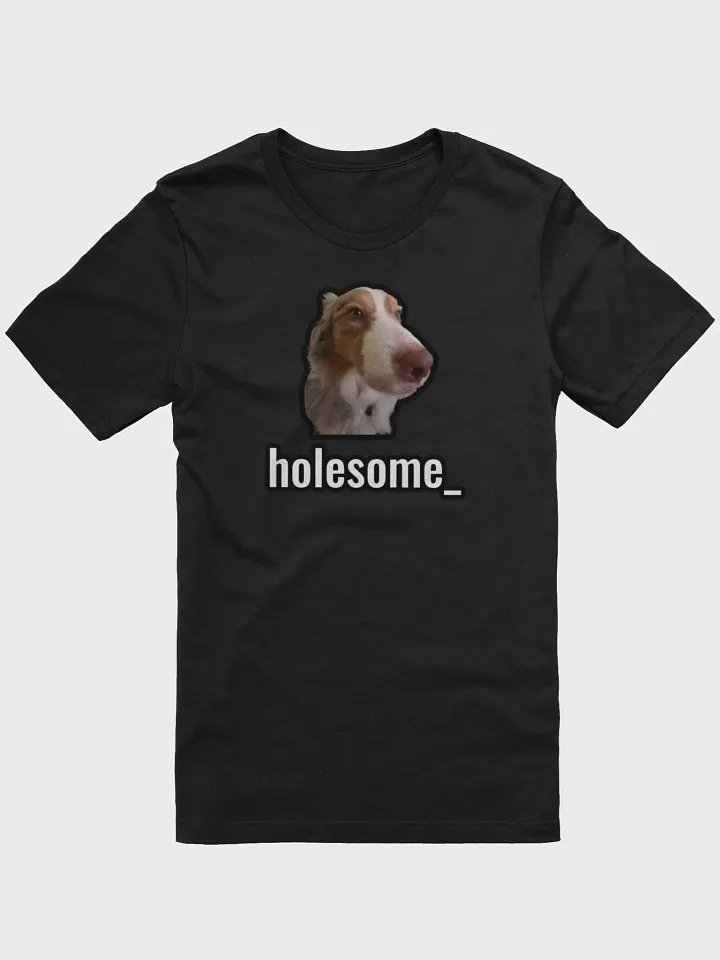 holesome Biggie T Shirt product image (2)