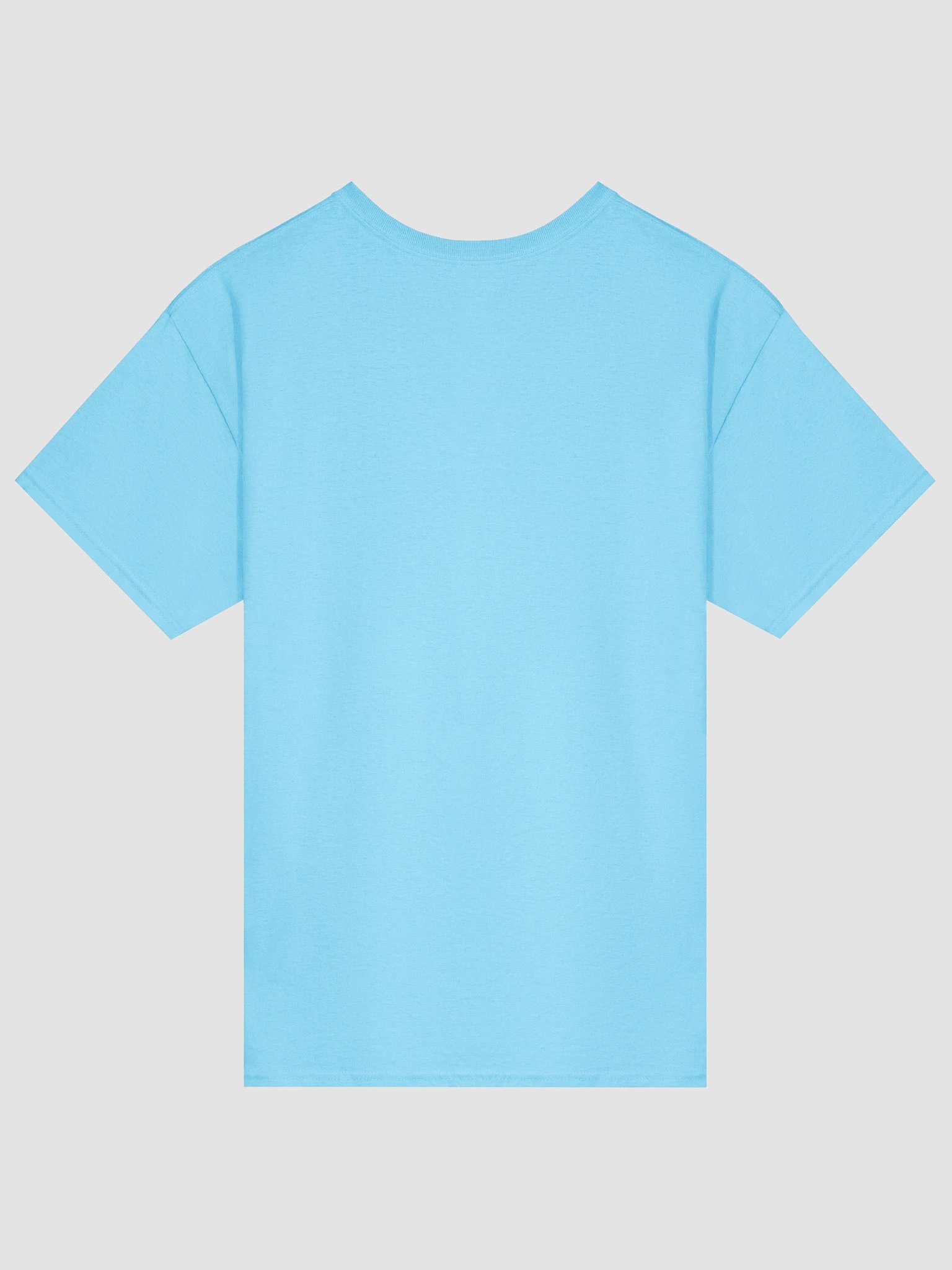 Healthy & Wealthy Vegetarian T-Shirt product image (2)