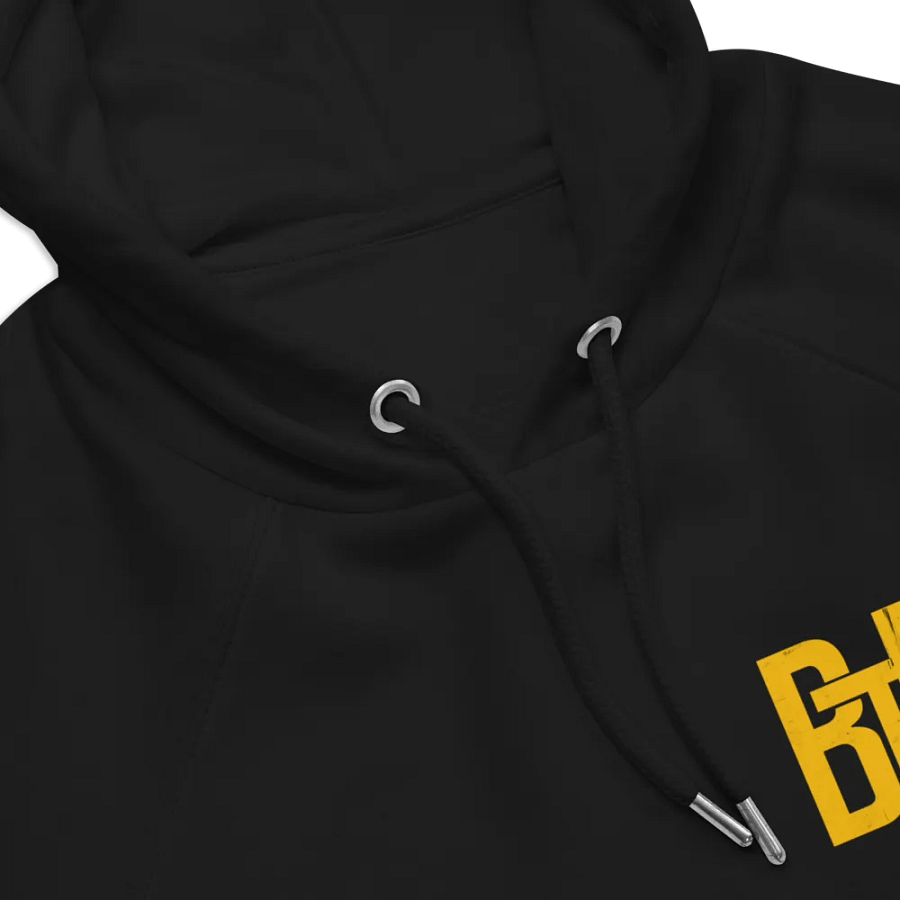 BTR Exclusion Hoodie product image (3)