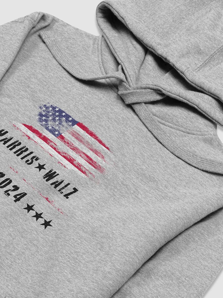 Harris-Walz Unity Hoodie product image (27)