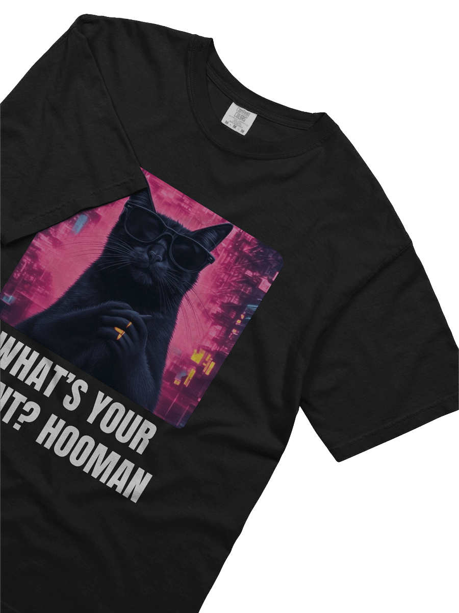 What's your point Hooman! Tee product image (17)