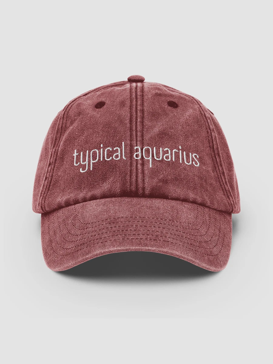 Typical Aquarius White on Red Vintage Wash Dad Hat product image (2)
