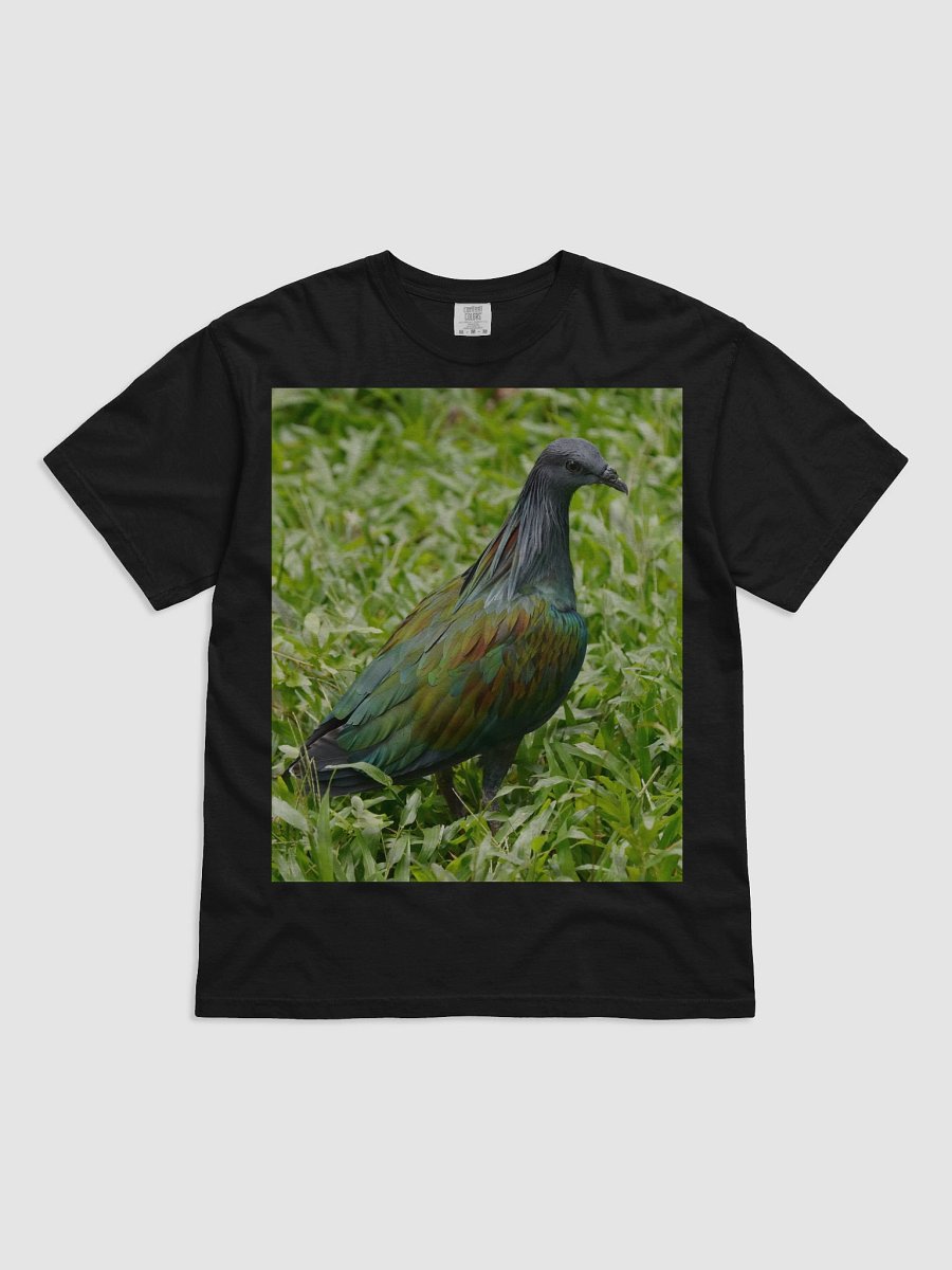 Iridescent Feathers Men's T-Shirt product image (1)