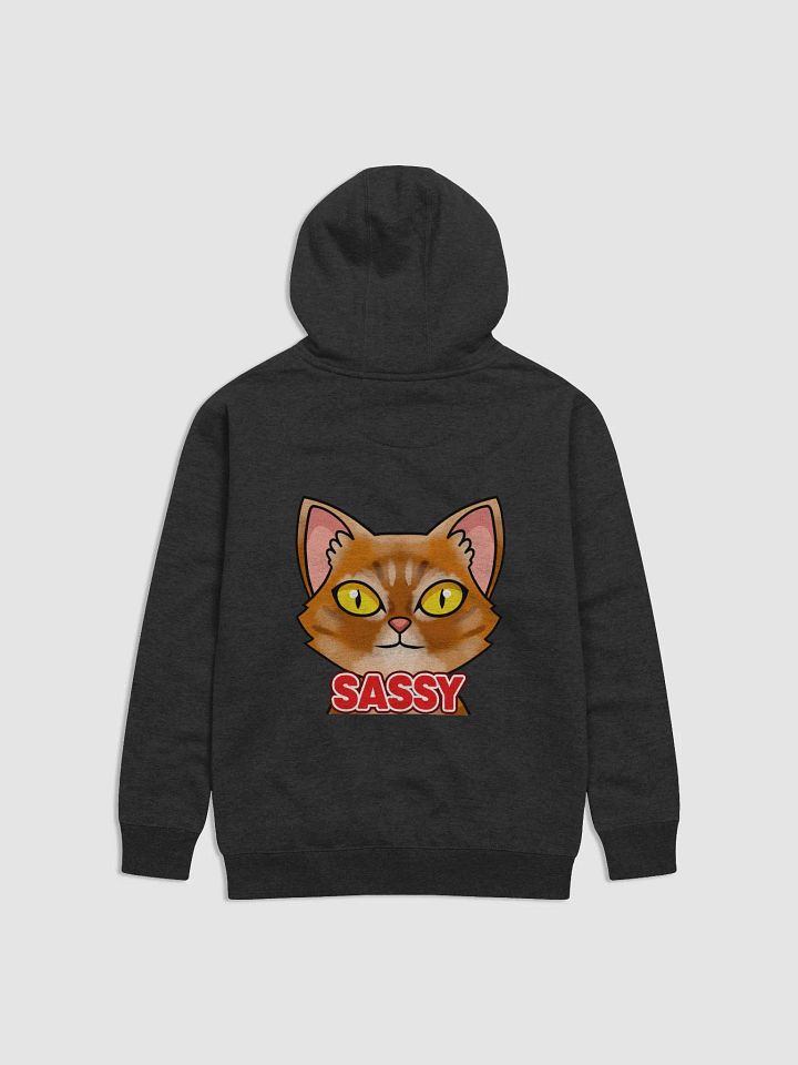 SASSY Pullover Hoodie product image (1)