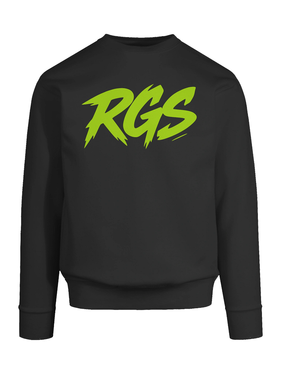 RGS Gamer Sweatshirt – Indie Spirit Pullover product image (9)