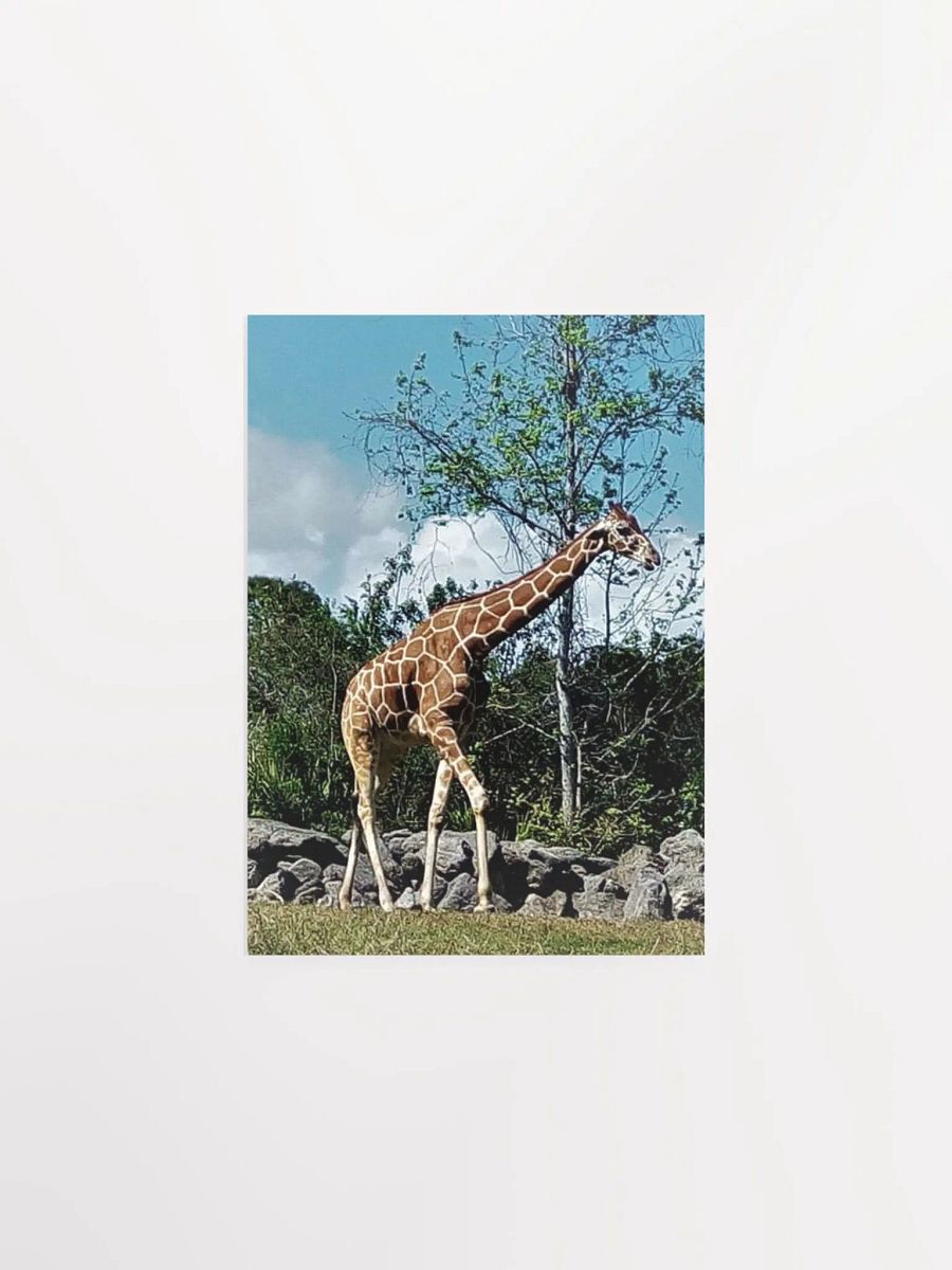 Giraffe product image (9)