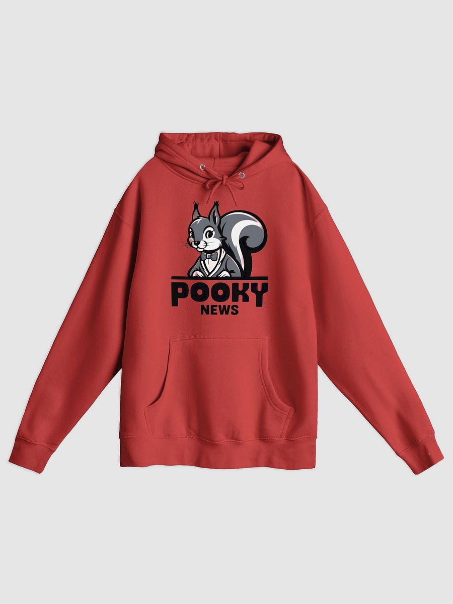 Premium, super soft Hoodie, Pooky news, grey pooky at desk/words product image (1)