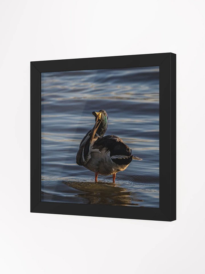 Ducking Fabulous product image (2)