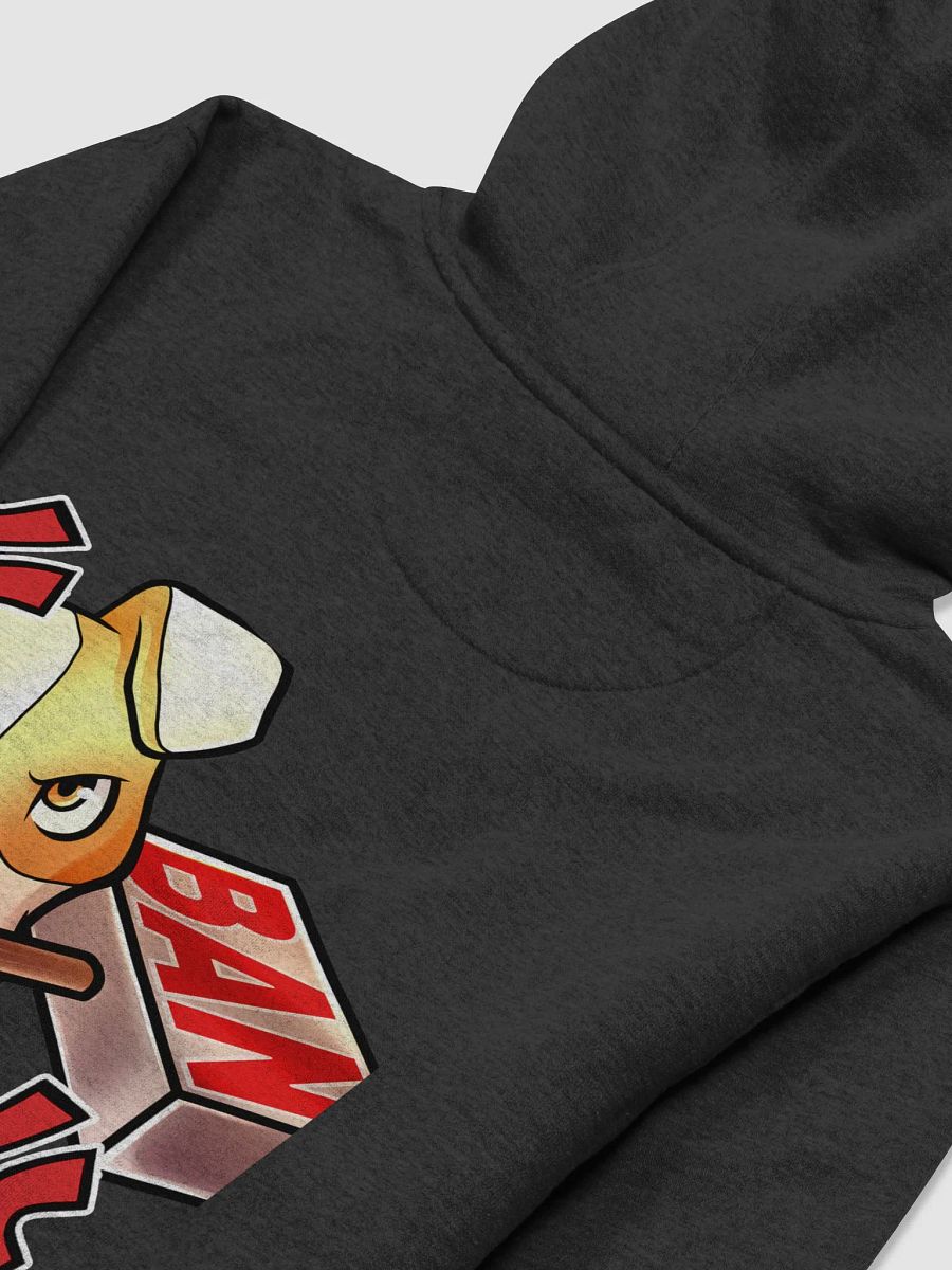 BAN Pullover Hoodie product image (4)