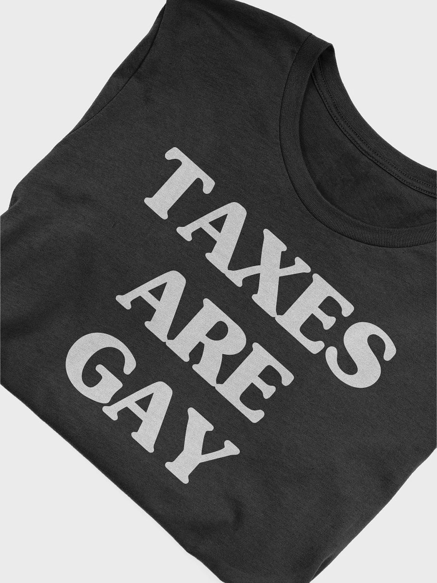 Taxes are Gay Shirt product image (26)