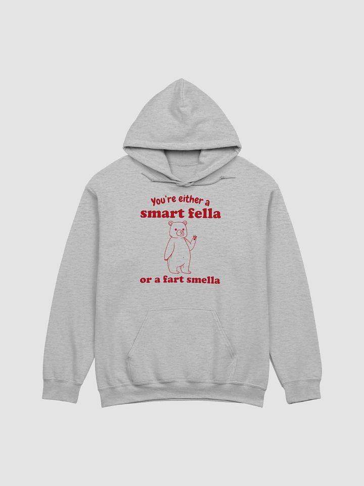 You're either a smart fella or a fart smella Hoodie product image (1)
