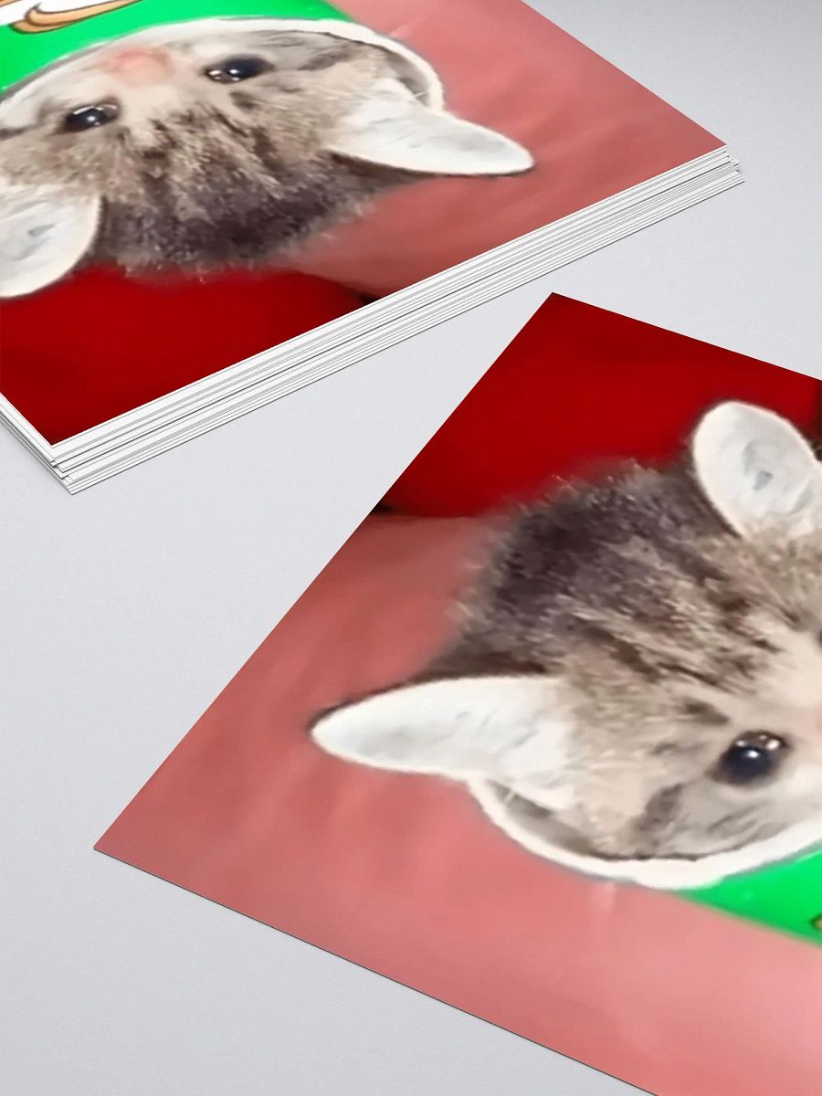 Kiss Cut Stickers: Meme Cats product image (4)