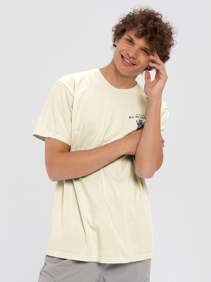 Nervous Systems Raccoons Graphic Tee product image (6)
