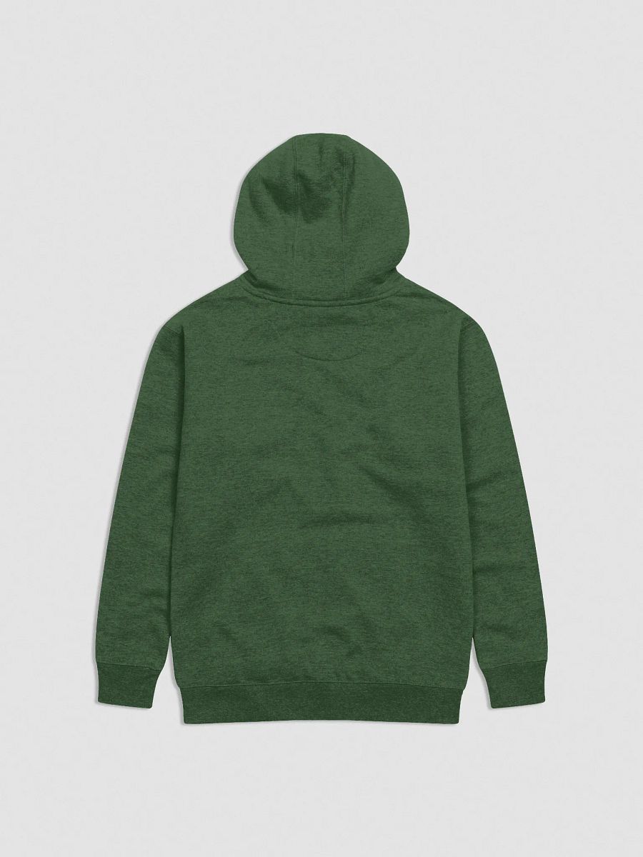 Wealthy & Healthy - Embroidered Hoodie product image (6)