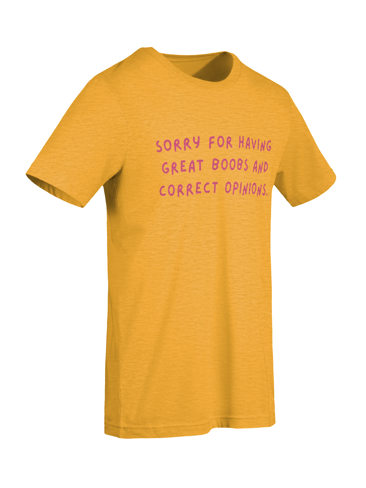 Sorry For Having Great B**Bs & Correct Opinions - Supersoft T-Shirt product image (62)