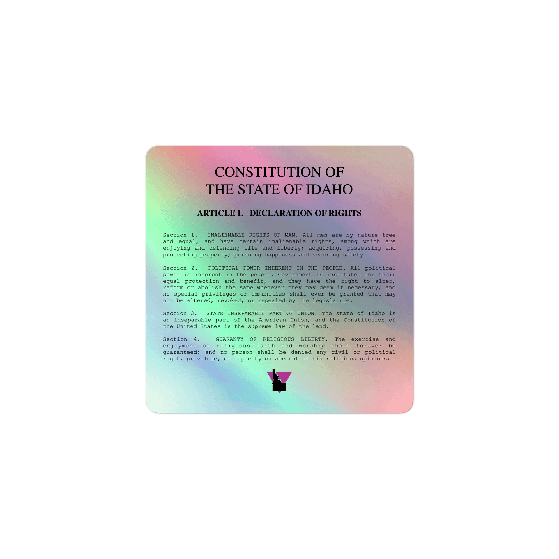 "DECLARATION OF RIGHTS" light holo sticker product image (1)