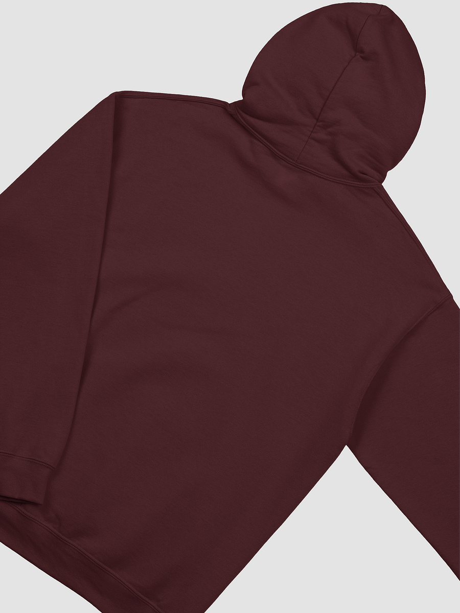The Donna Howell Show Bible-Flourish Classic Hoodie product image (4)