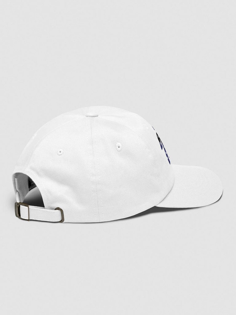 2028 Classic Dad Hat product image (12)