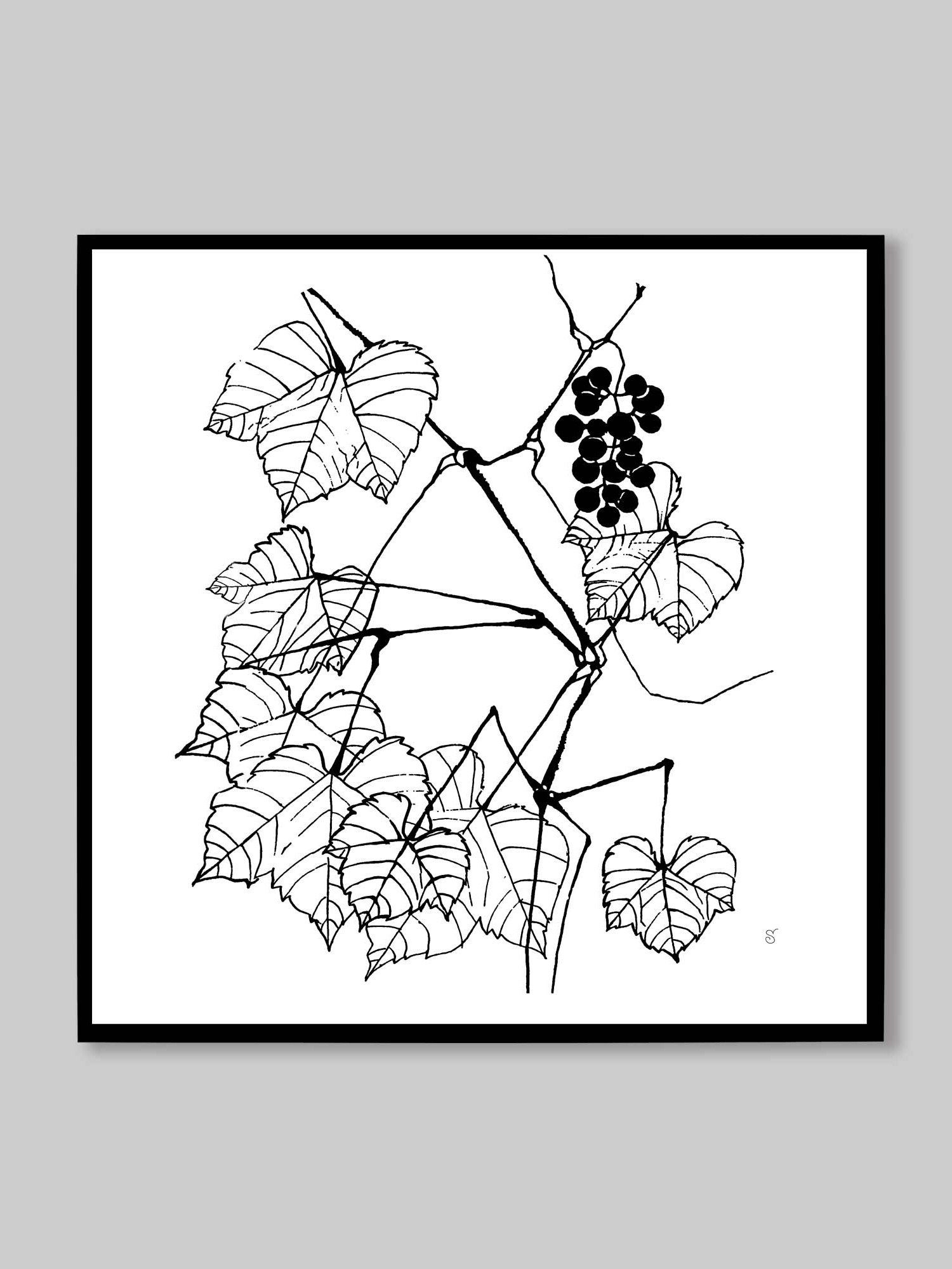 Blank Canvas: Unleash Your Artistic Vision - Grape Leaves Elegant product image (10)